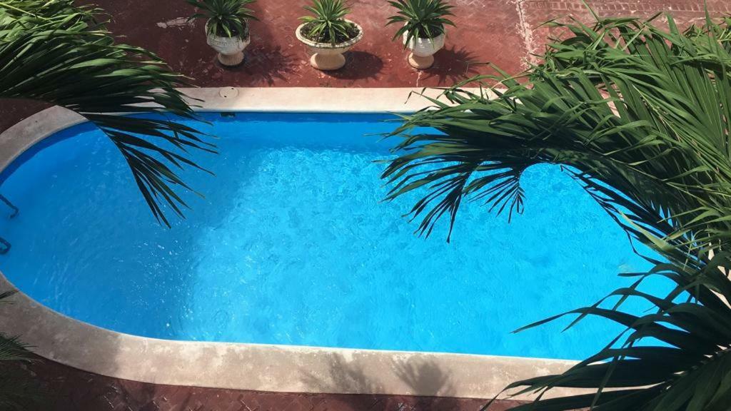 Arcoiris Share Apartment Bavaro Punta Cana Buitenkant foto